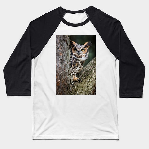 Great Horned Owl Peering Out Baseball T-Shirt by dalekincaid